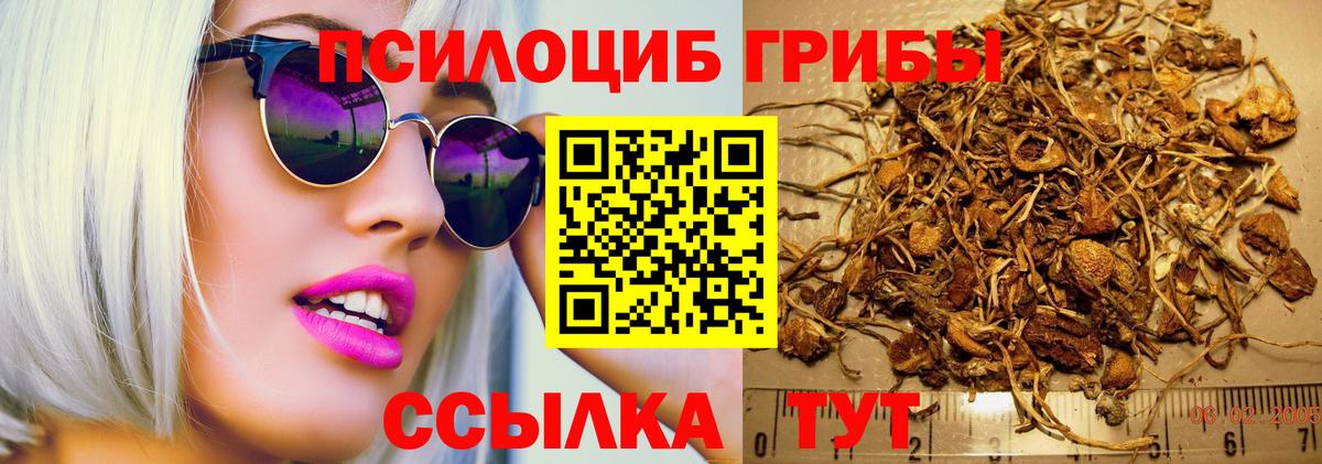 Строитель  Галлюциногенные грибы прущие грибы  Вход с VPN 