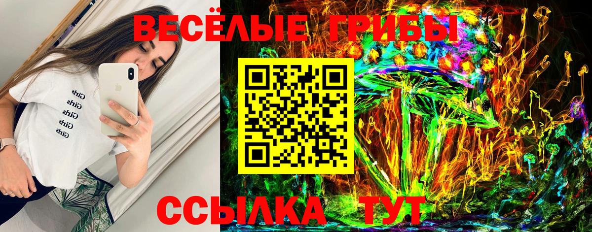 Псилоцибиновые грибы ЛСД Строитель
